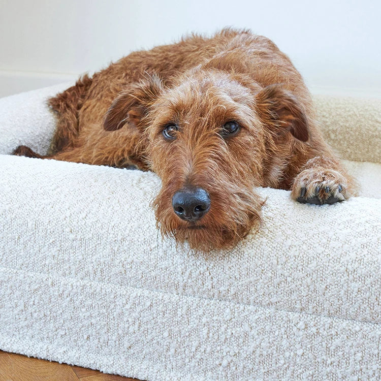 Château Paws White Bouclé Orthopedic Dog Lounger