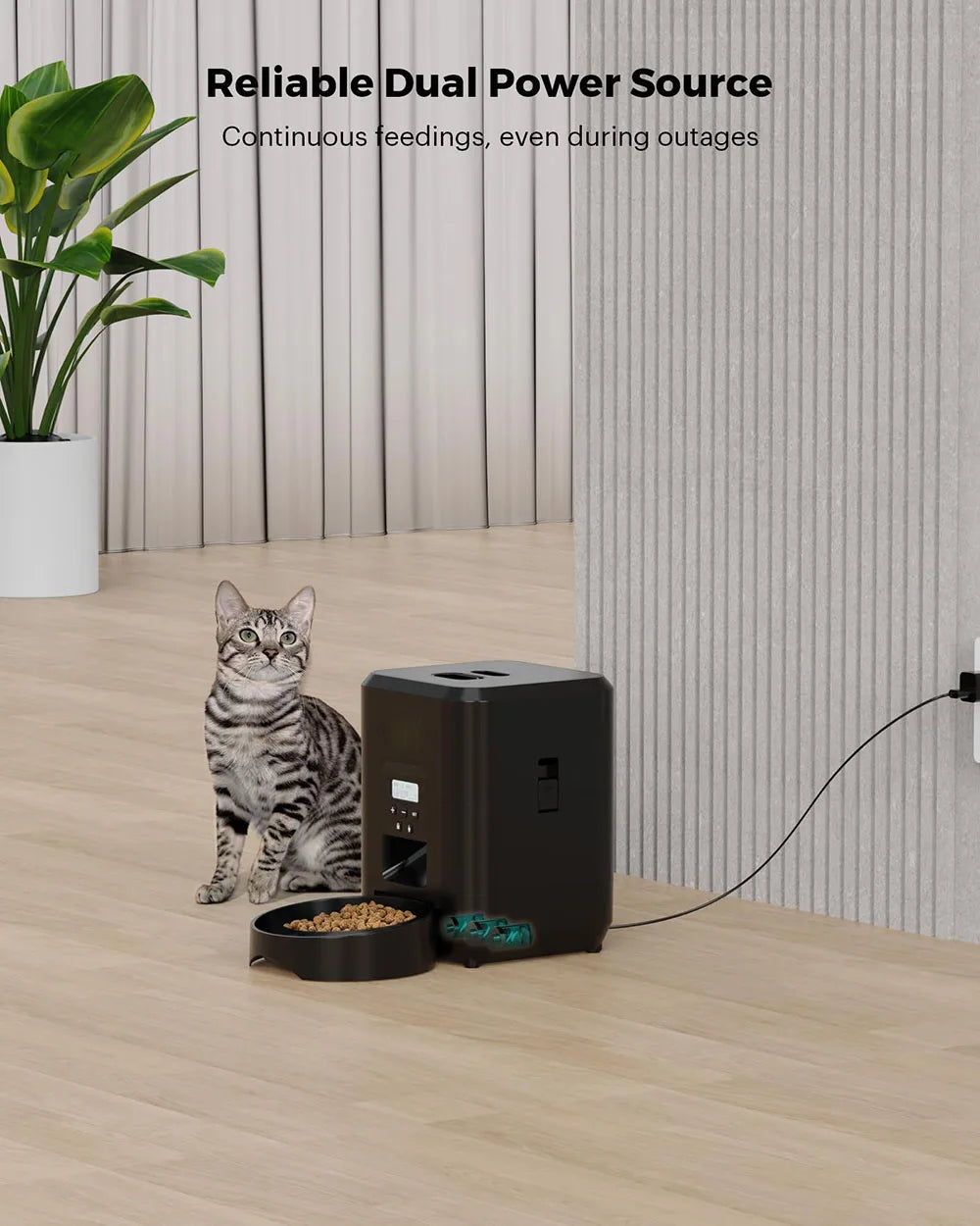 SmartFeast Automatic Pet Feeder