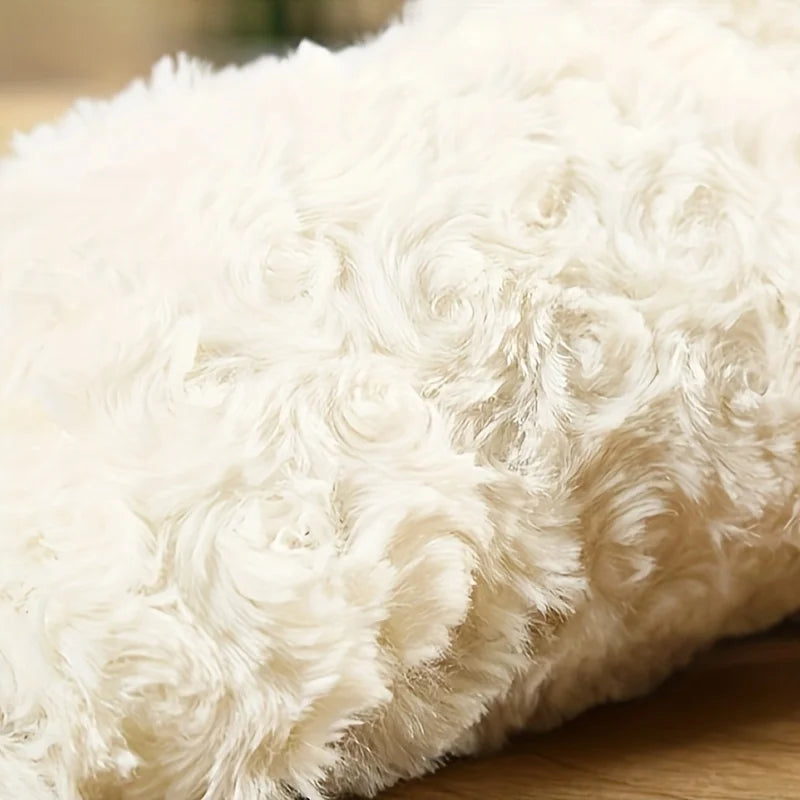 Baa-Baa Buddy Toy