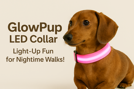 GlowPup LED Collar