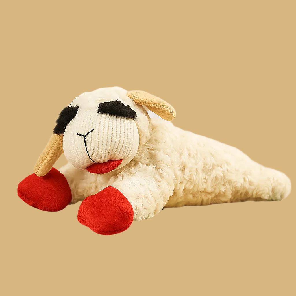 Baa-Baa Buddy Toy