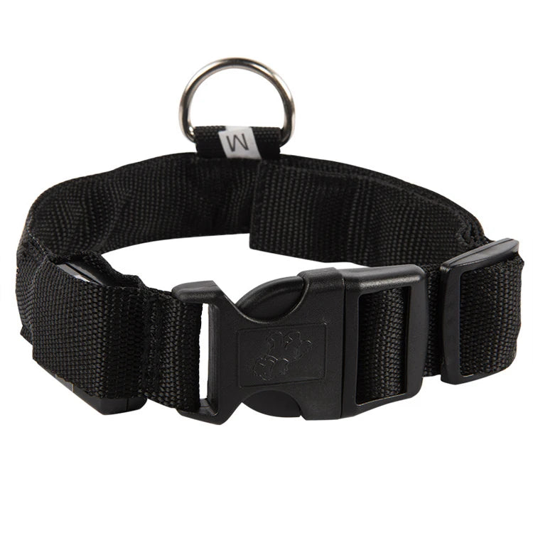 GlowPup LED Collar