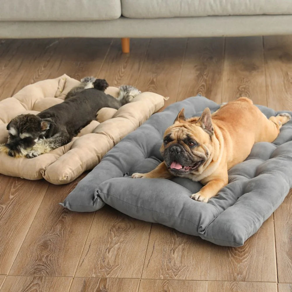 SnuggleFlex 3-in-1 Comfort Pod