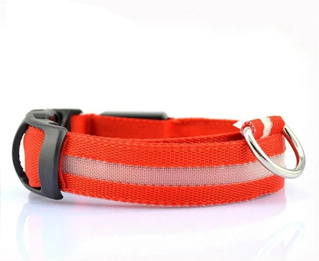 GlowPup LED Collar