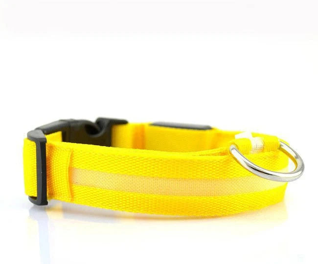 GlowPup LED Collar