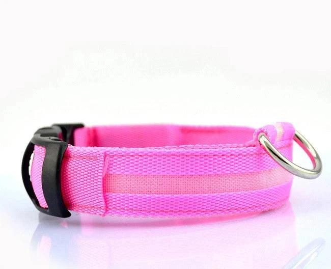 GlowPup LED Collar