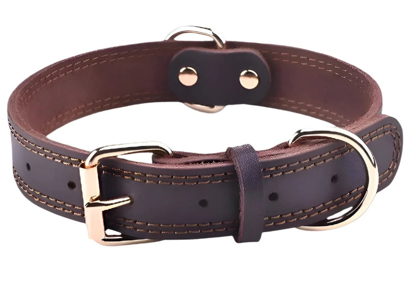 Vintage Leather Dog Collar - Heavy-Duty with Double D-Rings