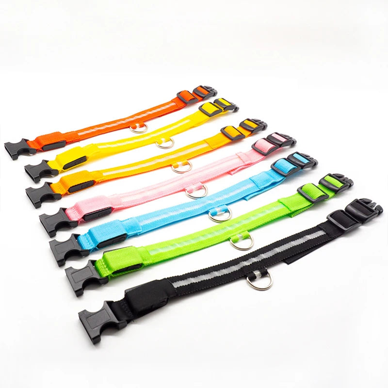 GlowPup LED Collar