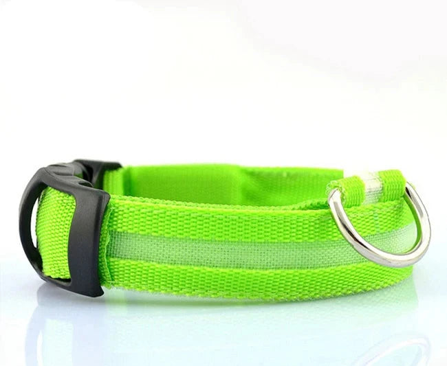 GlowPup LED Collar