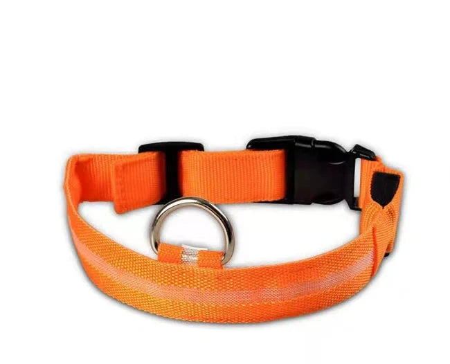GlowPup LED Collar