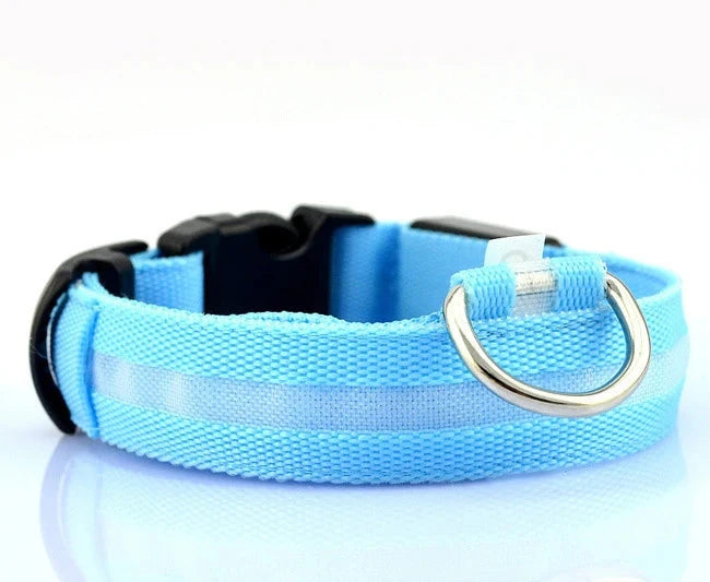 GlowPup LED Collar