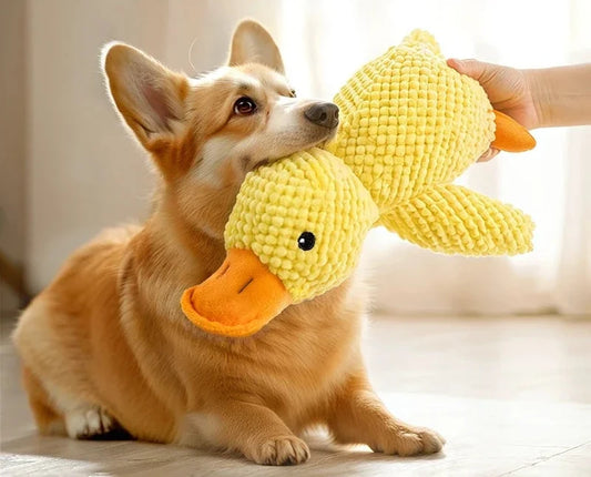 QuackMate Plush Duck Toy