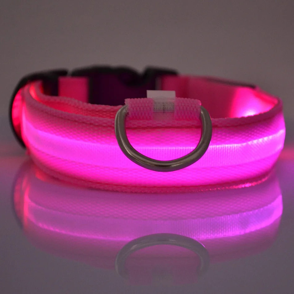 GlowPup LED Collar