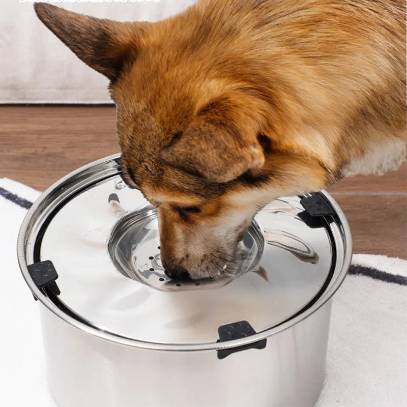 SplashGuard Stainless Steel No-Spill Dog Bowl